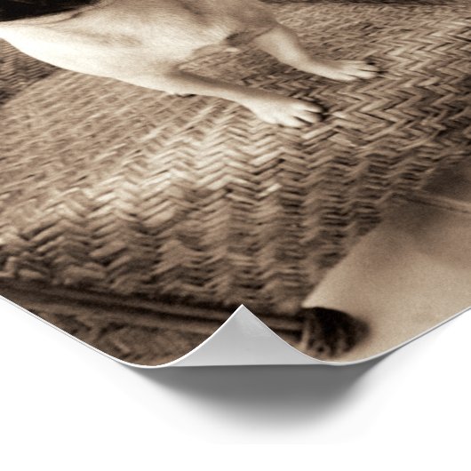 Ein Mops mit Kopf, der zur Seite getippt wurde Poster (Ecke)