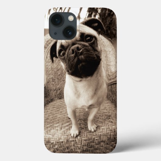 Ein Mops mit seinem Kopf betitelt zur Seite Case-Mate iPhone Hülle (Rückseite)