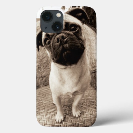 Ein Mops mit seinem Kopf betitelt zur Seite Case-Mate iPhone Hülle (Rückseite)