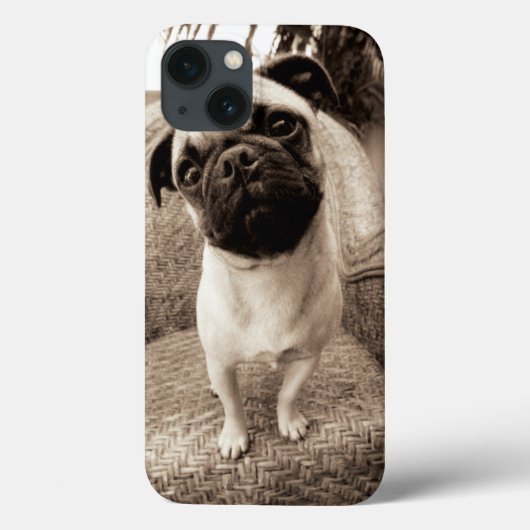 Ein Mops mit seinem Kopf betitelt zur Seite Case-Mate iPhone Hülle (Rückseite)