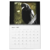 Ein Mord an Krähen-Kalender 2015 Kalender (Mär 2027)