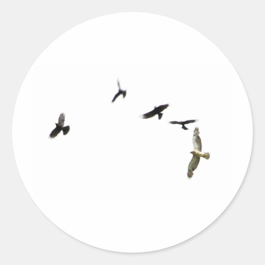 Ein Mord an Krähen Runder Aufkleber (Vorderseite)