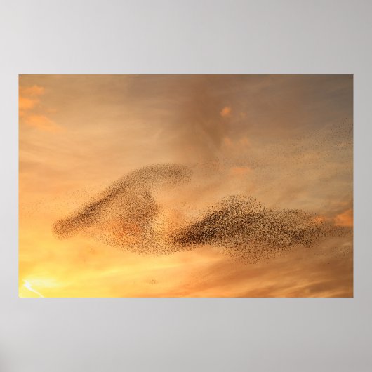 Ein Mord an Starling Print Poster (Vorne)