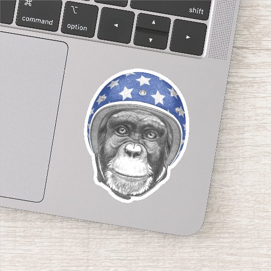 Ein Motorradfahrer mit Schimpanse Aufkleber (Detail)