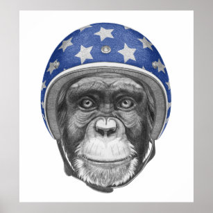 Schimpanse Poster & Kunstdrucke