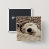 Ein müder Hund Button (Vorne & Hinten)