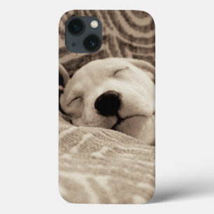 Ein müder Hund iPhone 13 Hülle