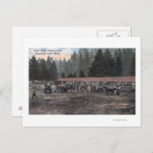 Ein Mule Team im Lager Lewis Postkarte (Vorne/Hinten)