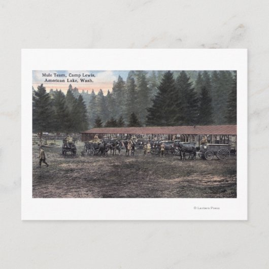 Ein Mule Team im Lager Lewis Postkarte (Vorderseite)