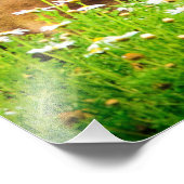 Ein Mutterkuss Wildlife Natur Kunst Druck (Ecke)