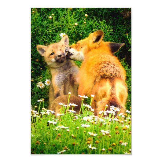 Ein Mutterkuss Wildlife Natur Kunst Druck (Vorne)