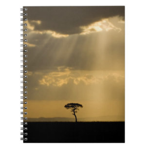 Ein mystischer Sonnenuntergang bei der Rückkehr i Notizblock