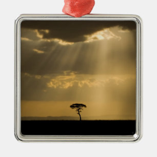 Ein mystischer Sonnenuntergang bei der Rückkehr in Silbernes Ornament