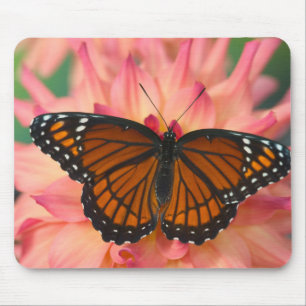 Ein Nachahmer des Monarchfalters Mousepad