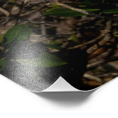 Ein Nachtreiher. Fotodruck (Ecke)