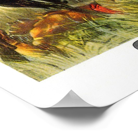 Ein Naher Anruf - Buffalo Bill Poster (Ecke)