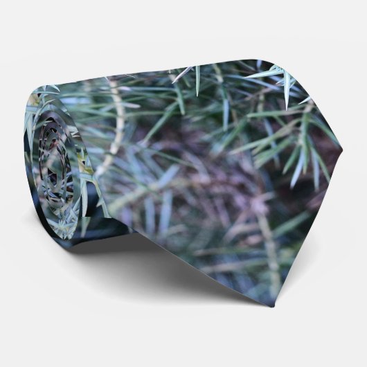 Ein naher Schuss des Wacholderbusches Krawatte (Gerollt)