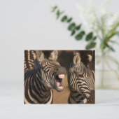 Ein naher Zebra, der seine Zähne zeigt, Postkarte (Stehend Vorderseite)