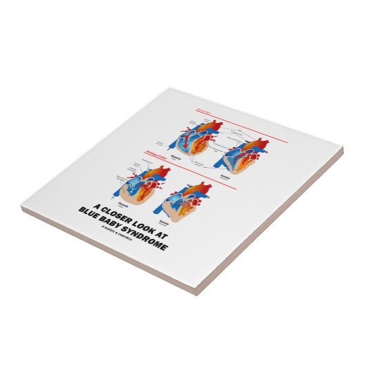 Ein naherer Blick auf blaues Fliese (Seite)