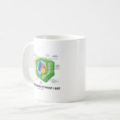 Ein naherer Blick auf, was ich esse Kaffeetasse (Vorderseite Links)