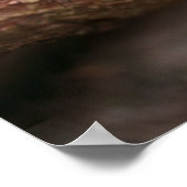 Ein Nahes Aufkommen eines bezaubernden Baby Robin Poster (Ecke)