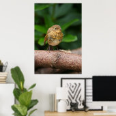 Ein Nahes Aufkommen eines bezaubernden Baby Robin Poster (Heimbüro)