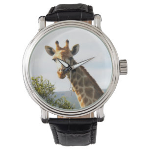 Ein nahes Foto einer männlichen Giraffe auf Safari Armbanduhr