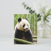Ein Nahes Portrait eines Panda Postkarte (Stehend Vorderseite)