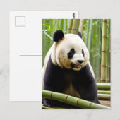 Ein Nahes Portrait eines Panda Postkarte (Vorne/Hinten)