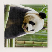 Ein Nahes Portrait eines Panda Puzzle (Horizontal)