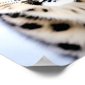 Ein Nahes Portrait eines Schneeleoparden Poster (Ecke)