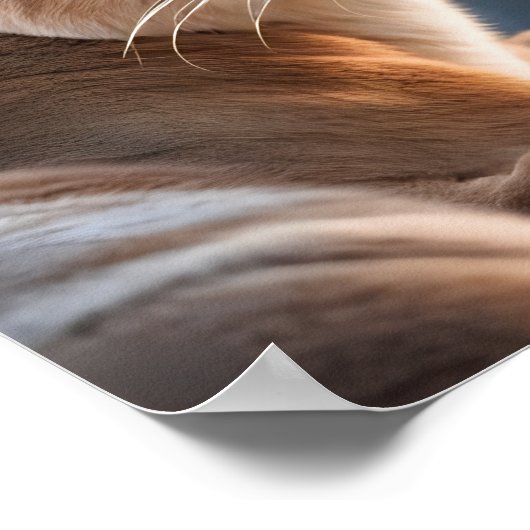 Ein Nahportrait eines Cougar Poster (Ecke)