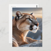 Ein Nahportrait eines Cougar Postkarte (Vorne/Hinten)