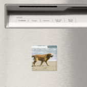 Ein nasser Hund am Strand. Magnet (In Situ (Geschirrspüler))