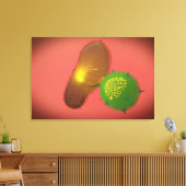 Ein natürliches Killerzellinjektionstoxin Leinwanddruck (Insitu (Wohnzimmer))