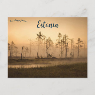 Ein nebliger Tag im Kreis Harju, Kolga, Estland Postkarte