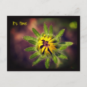 Ein Neubeginn Postkarte