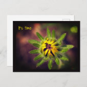 Ein Neubeginn Postkarte (Vorne/Hinten)