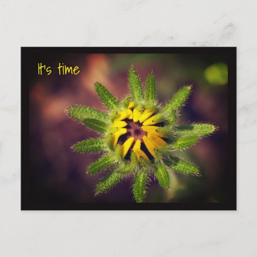 Ein Neubeginn Postkarte (Vorderseite)