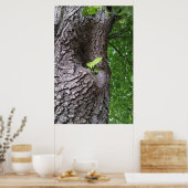 Ein neuer Zweig Poster (Küche)