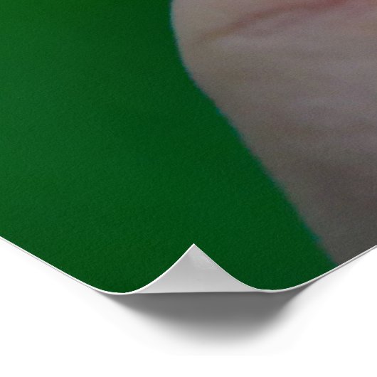 Ein neues Beginner-Acorn-Poster Poster (Ecke)