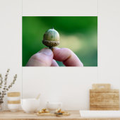 Ein neues Beginner-Acorn-Poster Poster (Küche)