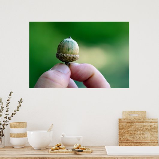 Ein neues Beginner-Acorn-Poster Poster (Küche)