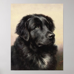 Ein neues Grundland-Poster Poster