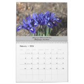 Ein neues Mexiko Kalender (Feb 2026)