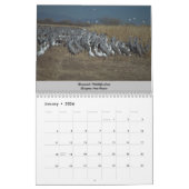 Ein neues Mexiko Kalender (Jan 2026)