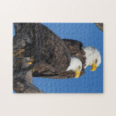 Ein neues Paar im Nest- M15 & F23 Puzzle (Horizontal)