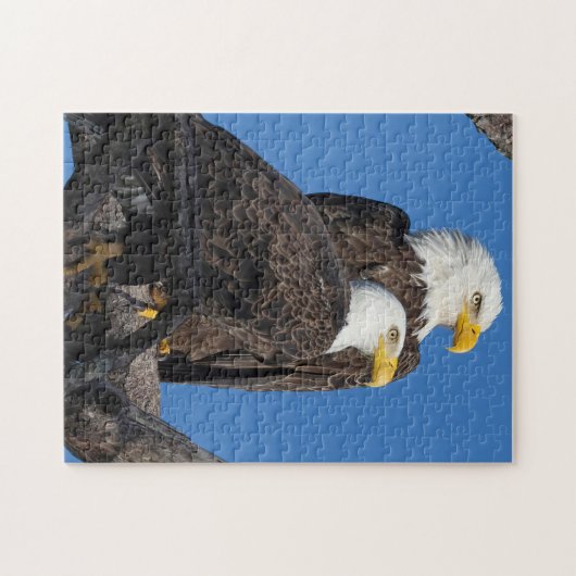 Ein neues Paar im Nest- M15 & F23 Puzzle (Horizontal)