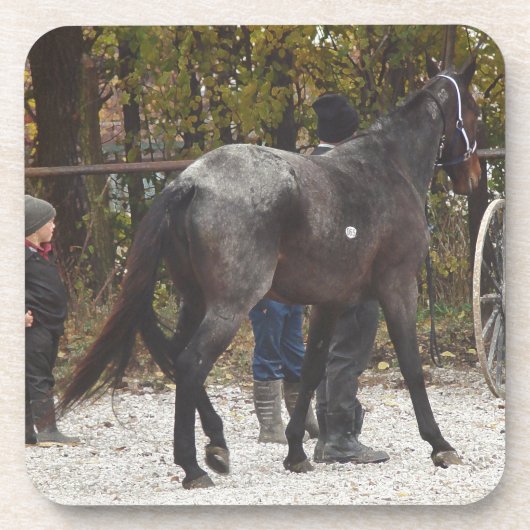 Ein neues Pferd Getränkeuntersetzer (Vorderseite)