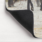 Ein neues Pferd Mousepad (Ecke)